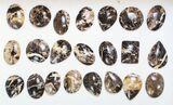 Lot: Polished Madagascar Black Opal Pendants - Pieces #138978-2